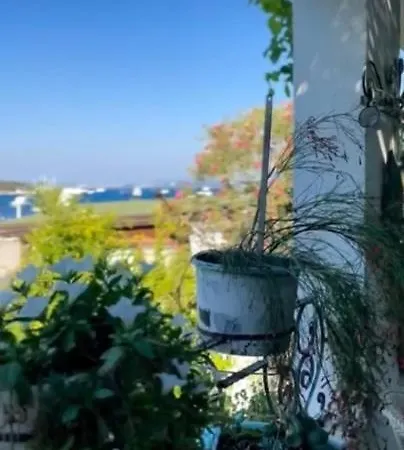 Sofi Ξενοδοχείο